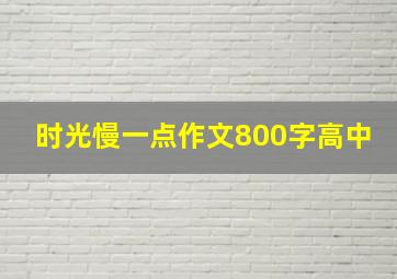 时光慢一点作文800字高中