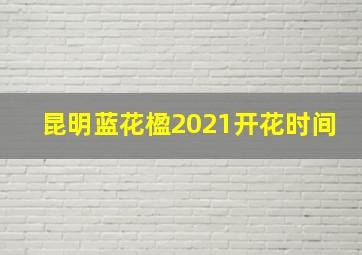 昆明蓝花楹2021开花时间