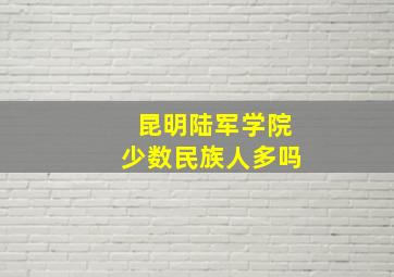 昆明陆军学院少数民族人多吗