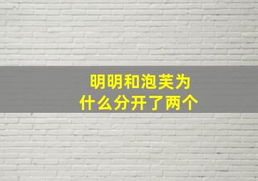 明明和泡芙为什么分开了两个