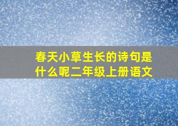 春天小草生长的诗句是什么呢二年级上册语文