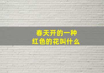 春天开的一种红色的花叫什么