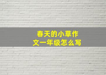 春天的小草作文一年级怎么写