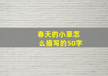 春天的小草怎么描写的50字