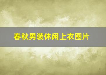 春秋男装休闲上衣图片