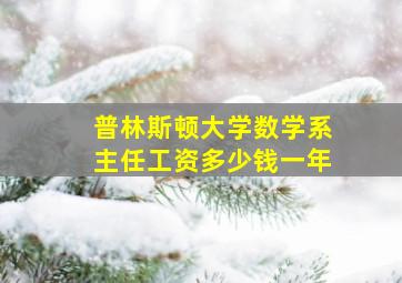 普林斯顿大学数学系主任工资多少钱一年