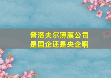 普洛夫尔薄膜公司是国企还是央企啊