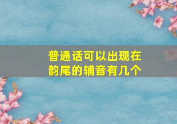 普通话可以出现在韵尾的辅音有几个