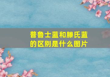 普鲁士蓝和滕氏蓝的区别是什么图片