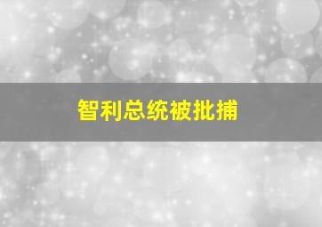 智利总统被批捕