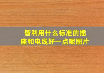 智利用什么标准的插座和电线好一点呢图片