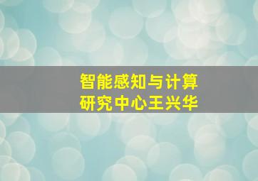 智能感知与计算研究中心王兴华