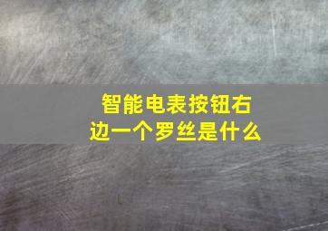 智能电表按钮右边一个罗丝是什么