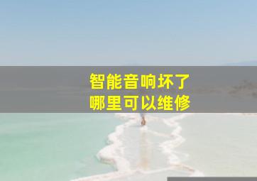 智能音响坏了哪里可以维修