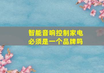 智能音响控制家电必须是一个品牌吗