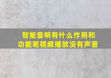 智能音响有什么作用和功能呢视频播放没有声音