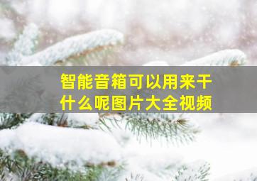 智能音箱可以用来干什么呢图片大全视频