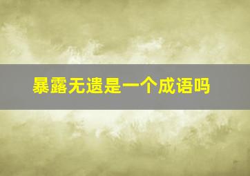 暴露无遗是一个成语吗