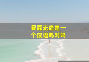 暴露无遗是一个成语吗对吗