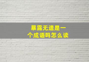 暴露无遗是一个成语吗怎么读