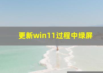 更新win11过程中绿屏