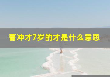 曹冲才7岁的才是什么意思