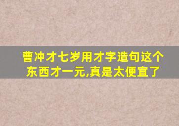 曹冲才七岁用才字造句这个东西才一元,真是太便宜了