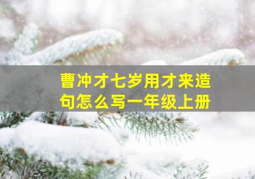 曹冲才七岁用才来造句怎么写一年级上册