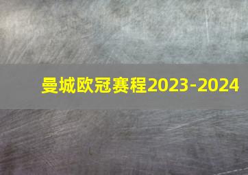 曼城欧冠赛程2023-2024