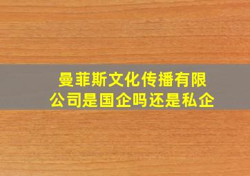 曼菲斯文化传播有限公司是国企吗还是私企