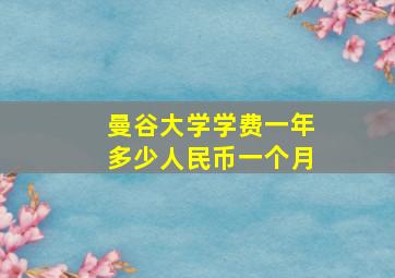 曼谷大学学费一年多少人民币一个月