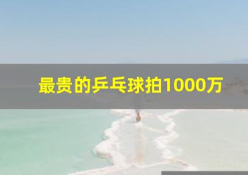 最贵的乒乓球拍1000万