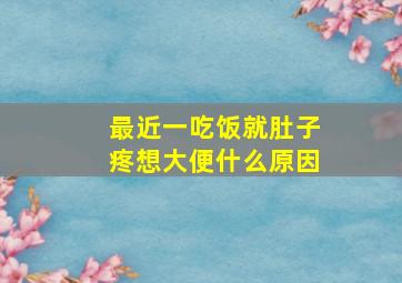 最近一吃饭就肚子疼想大便什么原因