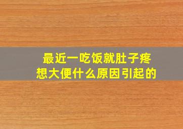 最近一吃饭就肚子疼想大便什么原因引起的