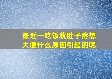 最近一吃饭就肚子疼想大便什么原因引起的呢