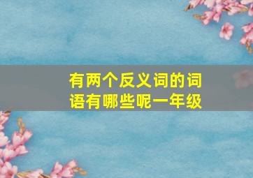 有两个反义词的词语有哪些呢一年级