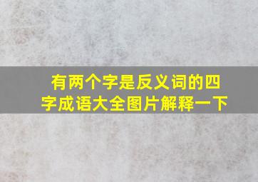 有两个字是反义词的四字成语大全图片解释一下