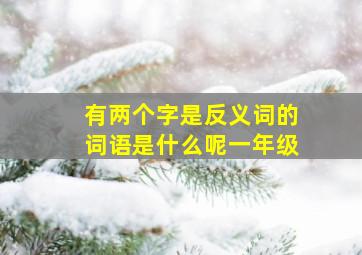 有两个字是反义词的词语是什么呢一年级