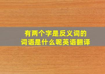 有两个字是反义词的词语是什么呢英语翻译