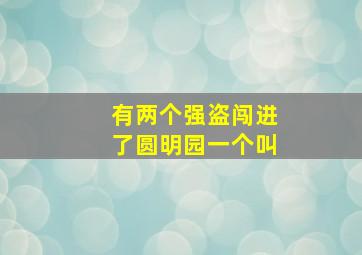 有两个强盗闯进了圆明园一个叫