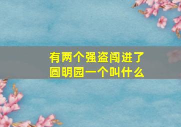 有两个强盗闯进了圆明园一个叫什么