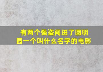 有两个强盗闯进了圆明园一个叫什么名字的电影