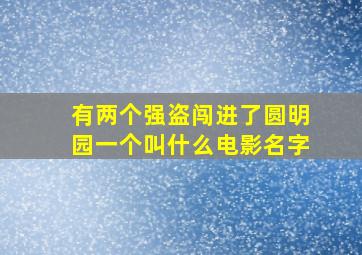 有两个强盗闯进了圆明园一个叫什么电影名字