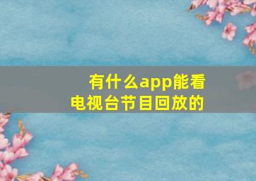 有什么app能看电视台节目回放的