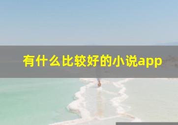 有什么比较好的小说app