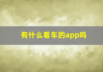 有什么看车的app吗