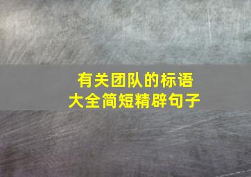 有关团队的标语大全简短精辟句子