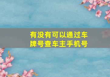 有没有可以通过车牌号查车主手机号