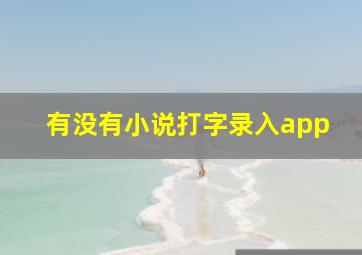 有没有小说打字录入app