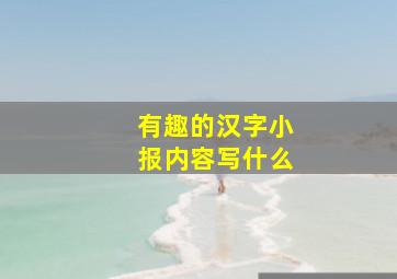 有趣的汉字小报内容写什么